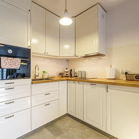 Izerskie Widoki Mountain Aparts 公寓